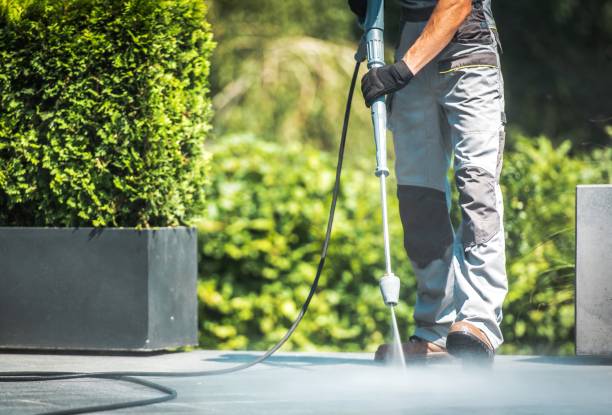 Best Rust Removal  in Winter Park, FL